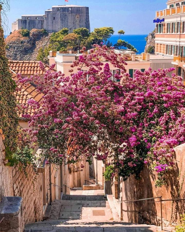 House Nina Daire Dubrovnik Dış mekan fotoğraf